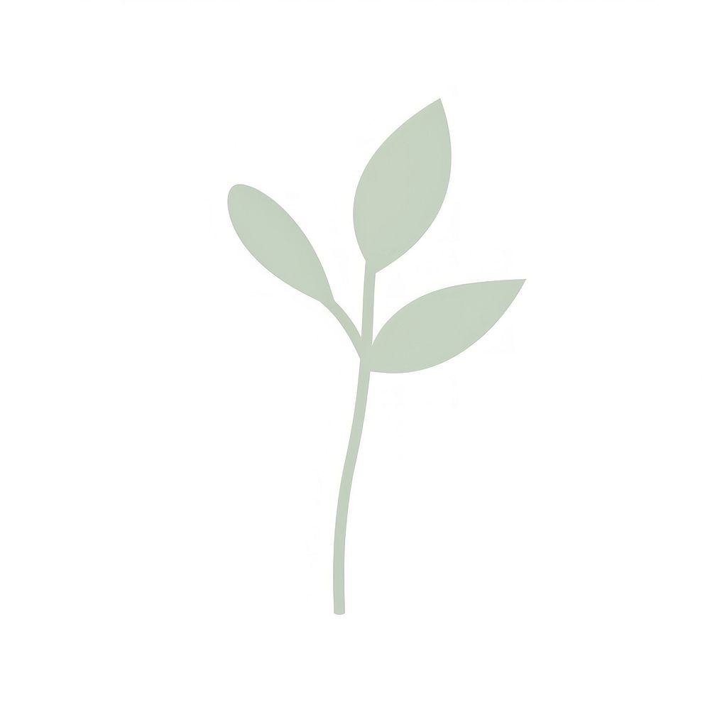 Plant leaf white background growth. AI generated Image by rawpixel.