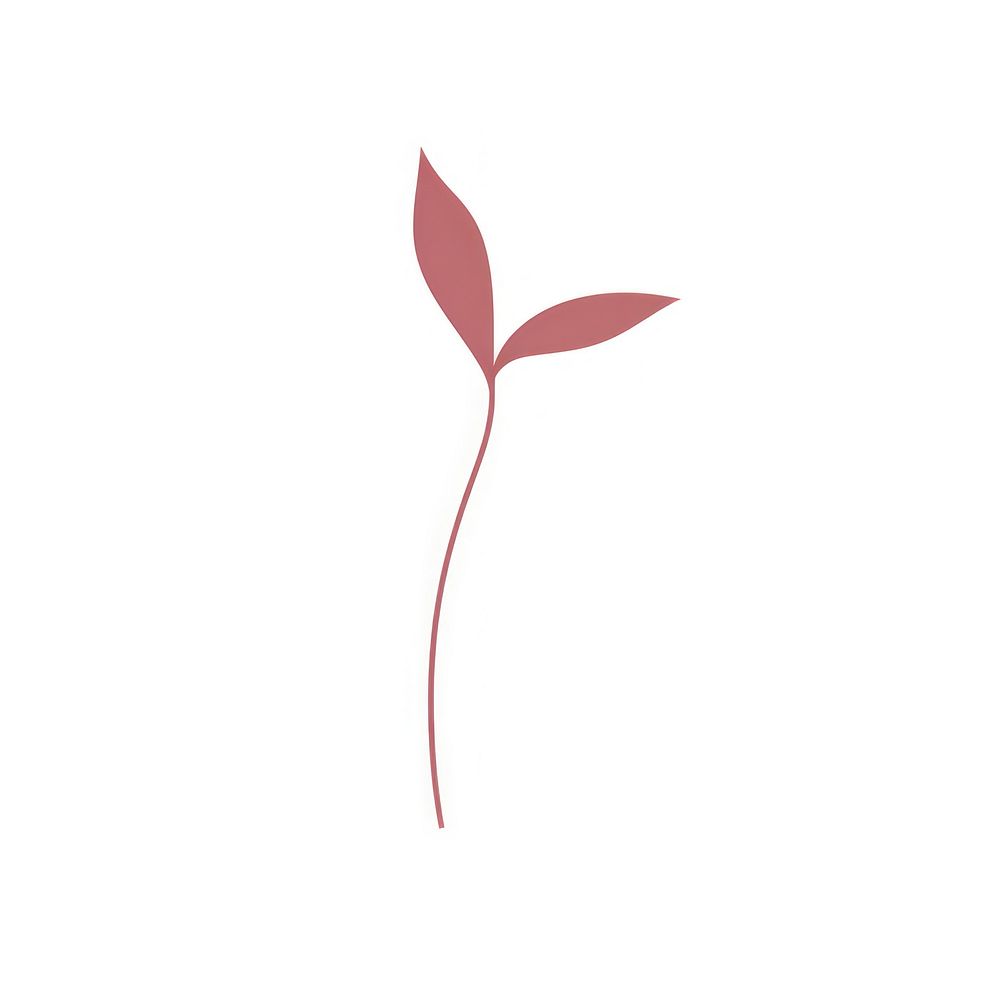 Plant leaf white background sprout. AI generated Image by rawpixel.