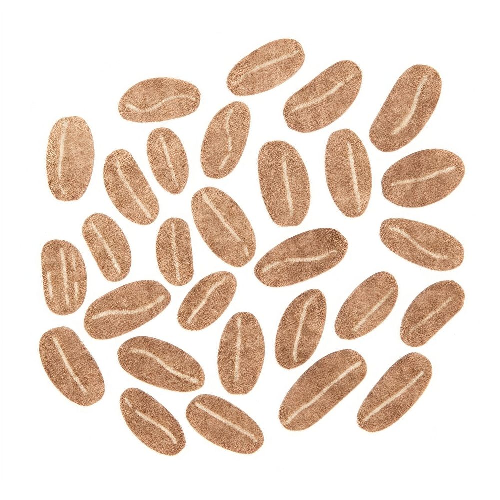 Coffee beans backgrounds white background freshness. AI generated Image by rawpixel.