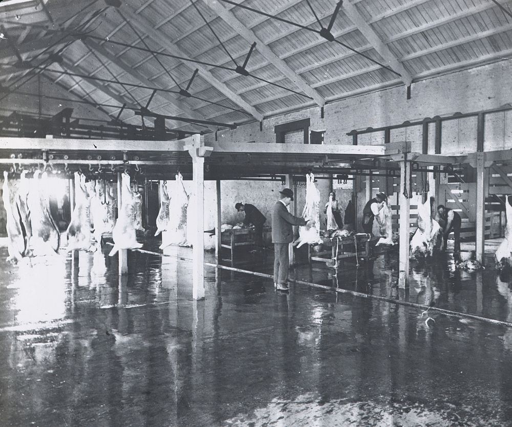 Cooling Chamber, Meat Works, Auckland (1920s).
