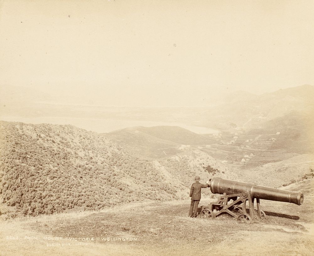 From Mount Victoria, Wellington.  From the album: New Zealand Views (circa 1880) by Burton Brothers.