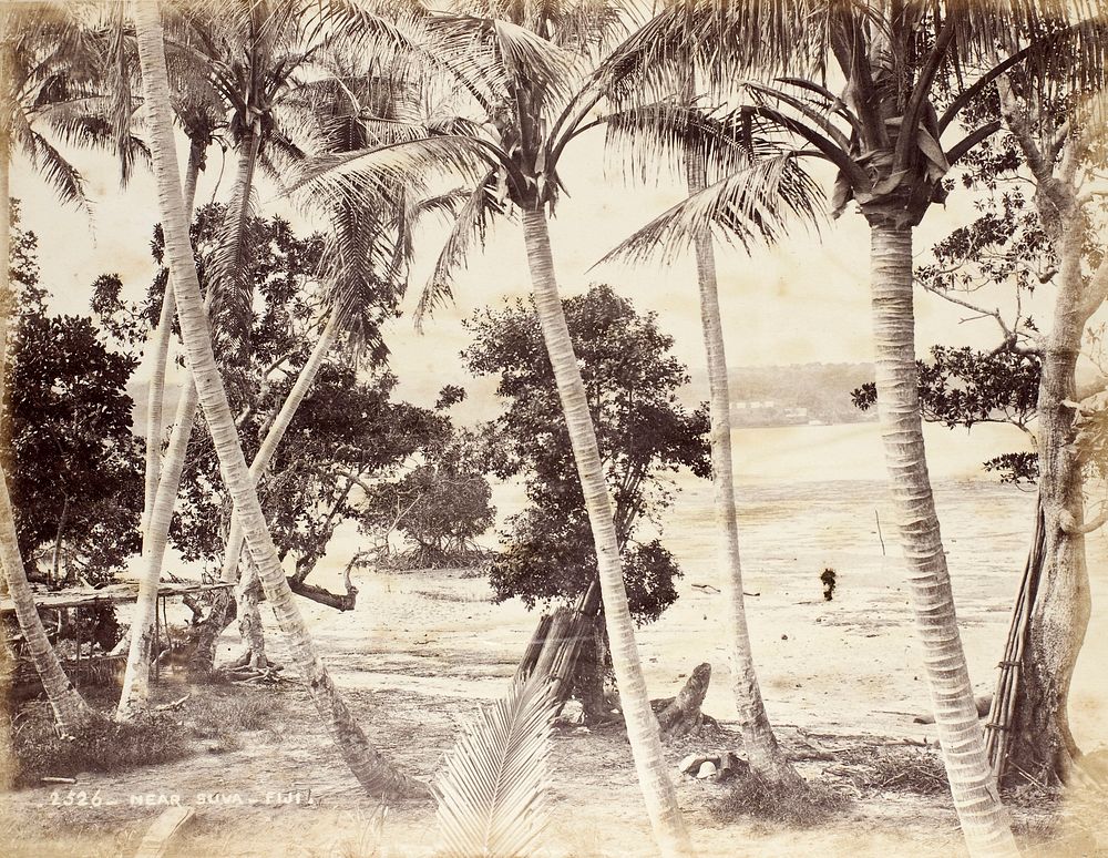 Near Suva - Fiji (1800s) by Burton Brothers.