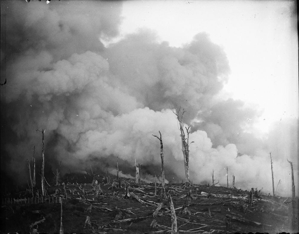 The last bush fire on the South Block 20-2-05 (20 February 1905) by Leslie Adkin.