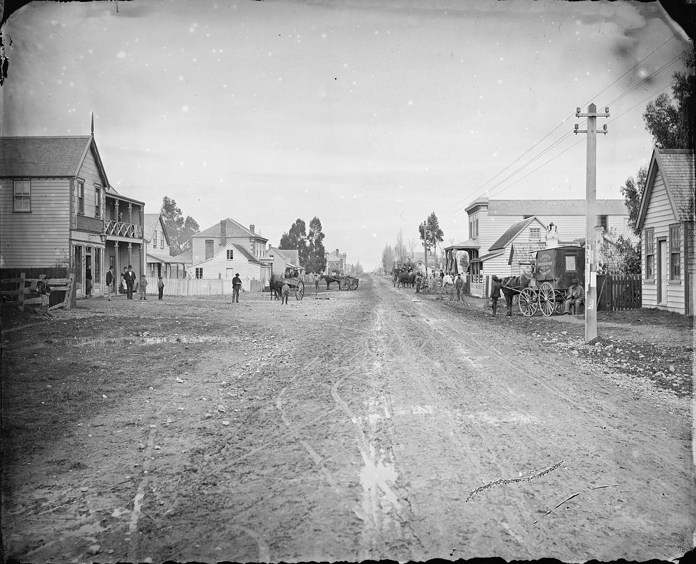 Greytown, Wairarapa, New Zealand, looking towards Wellington (circa 1875) by James Bragge.
