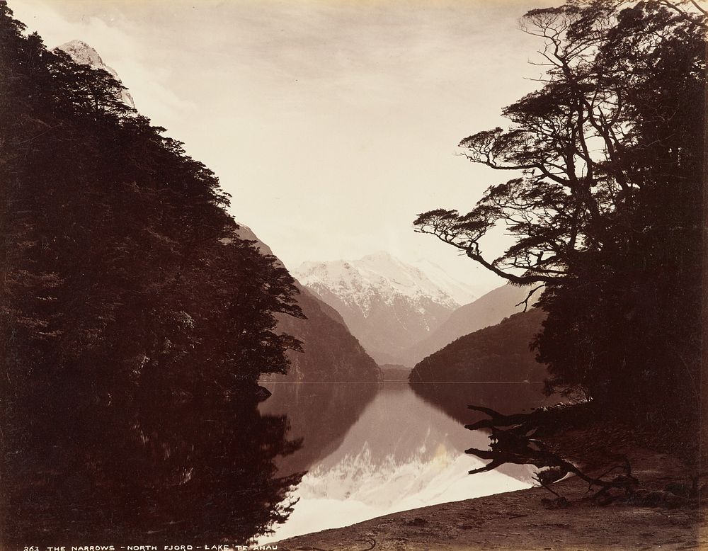 The Narrows, North Fjord, Lake Te Anau (circa 1889) by Burton Brothers and Alfred Burton.