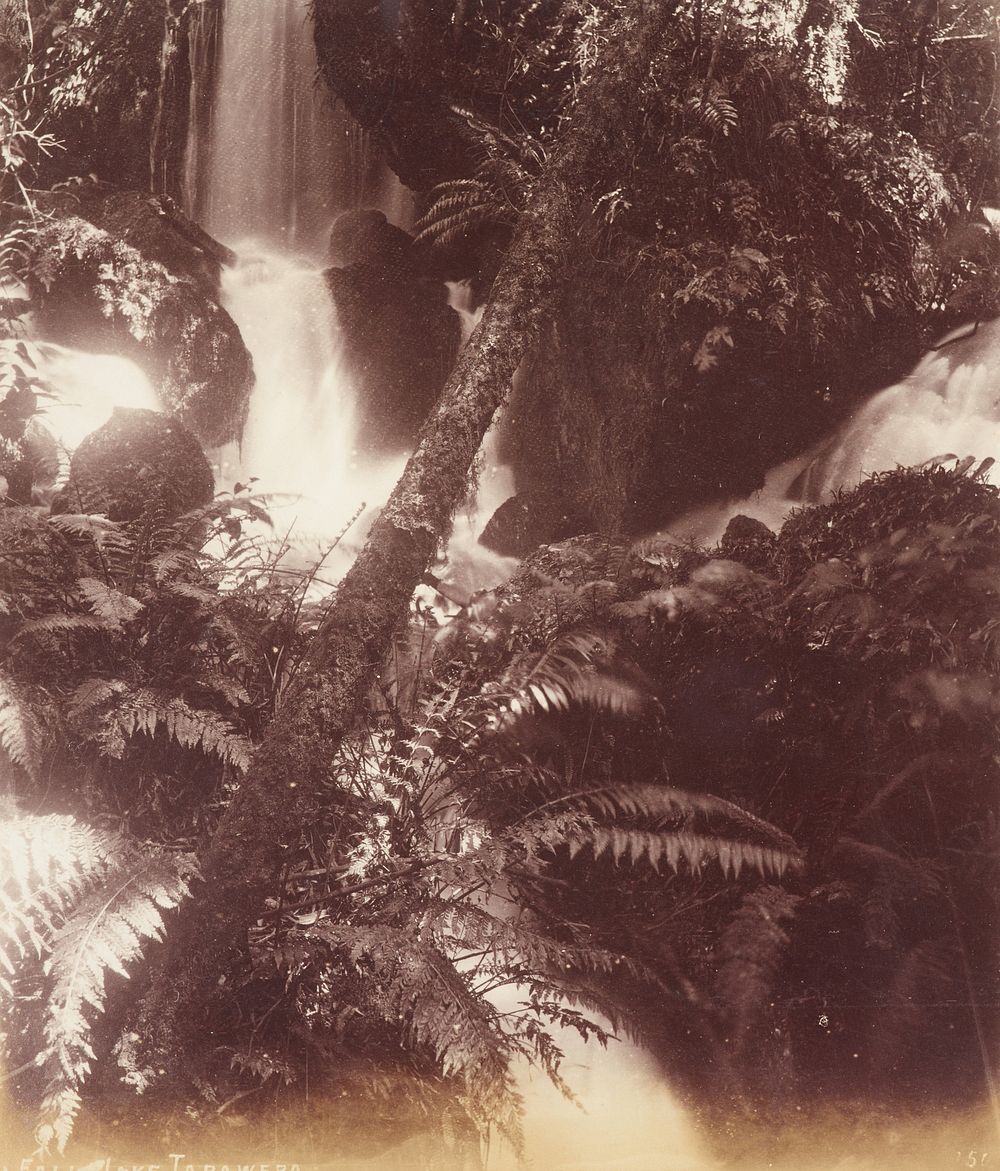 Fall Lake Tarawera (circa 1880-1898) by Unknown Organisation.