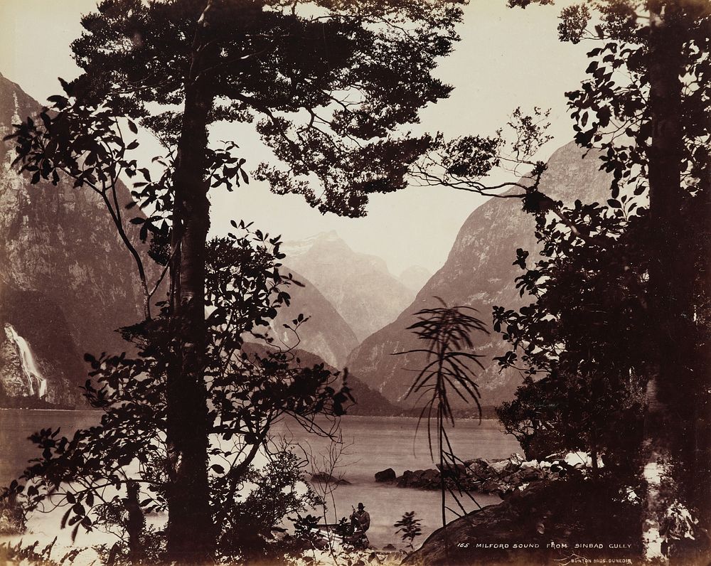 Milford Sound from Sinbad Gully (1888) by Burton Brothers.