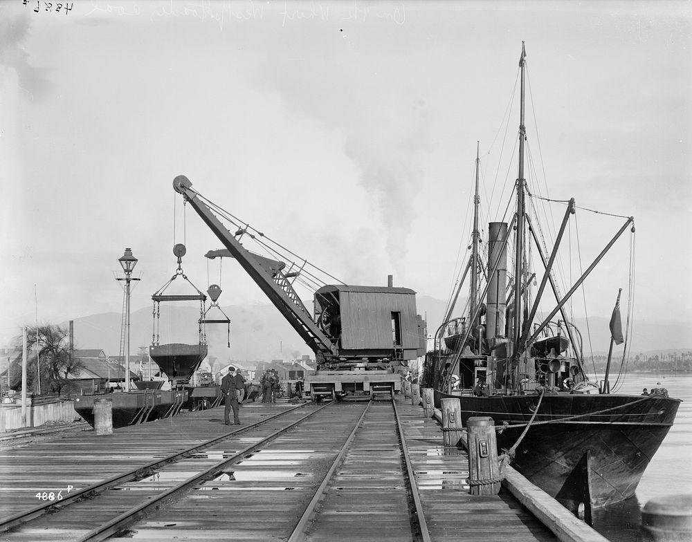 On the wharf, Westport, loading coal (circa 1908) by Muir and Moodie.