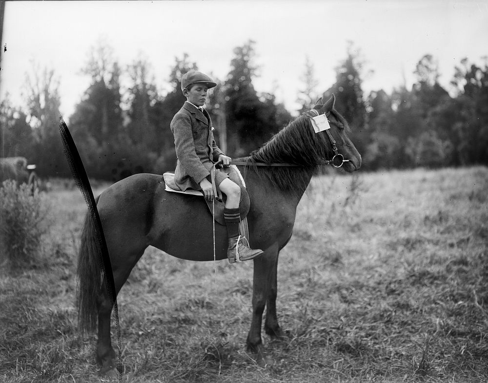 Boy and His Pony (circa 1915).