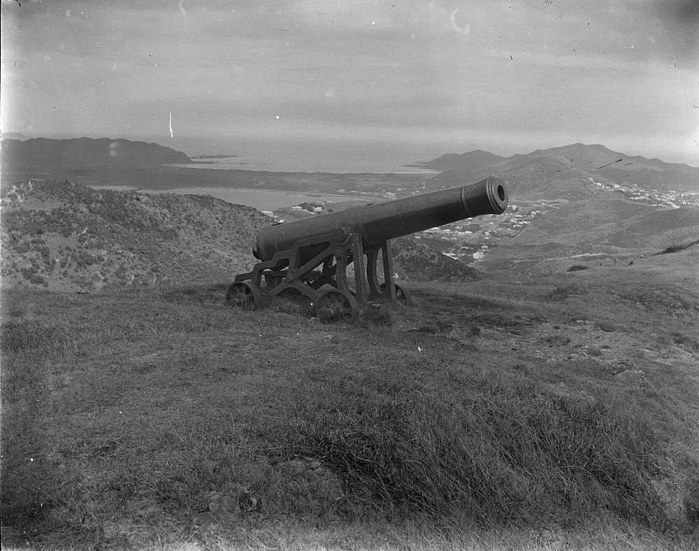 Cannon on hillside (possibly Mt Victoria cannon) by Fred Brockett.