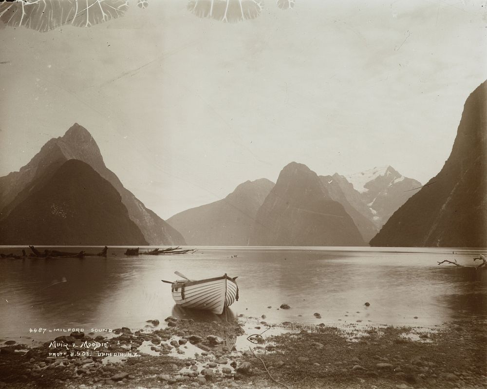 Milford Sound (1903) by Muir and Moodie and Burton Brothers.