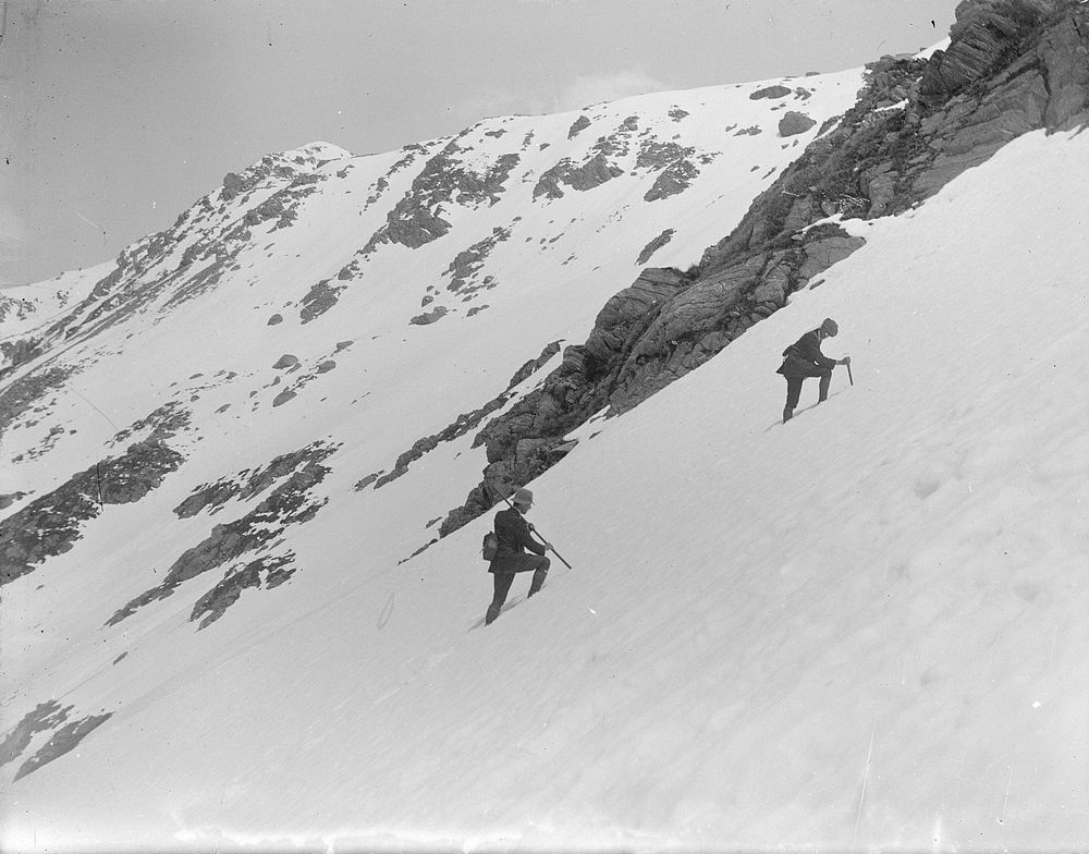 On Sealy Range, Southern Alps (1911) by Fred Brockett.