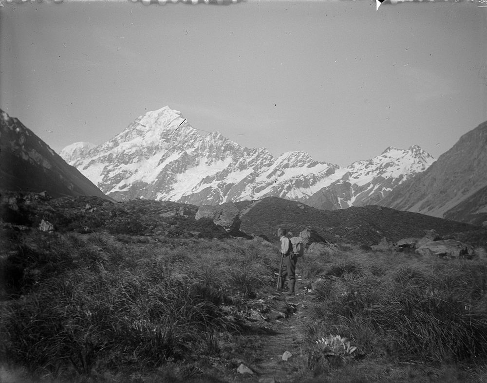 Mount Cook from Hooker Track (1911) by Fred Brockett.