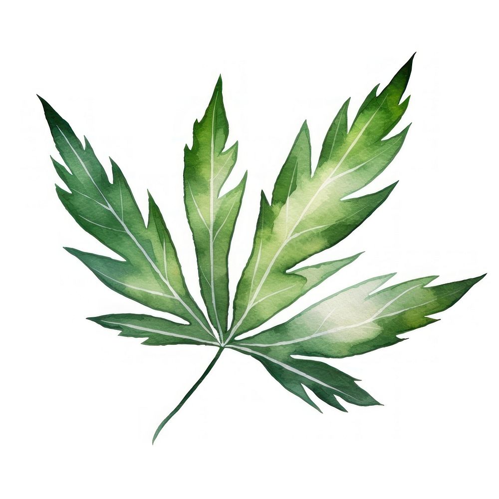 Botanical leaf plant green herbs. AI generated Image by rawpixel.