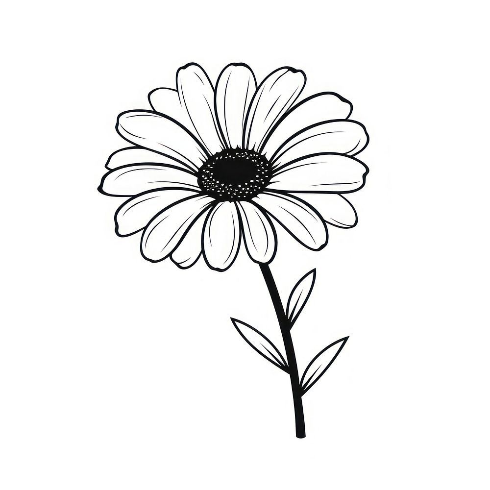Flower daisy flower drawing sketch. AI generated Image by rawpixel.