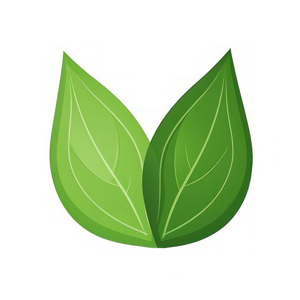 Two leaf plant white background freshness. AI generated Image by rawpixel.
