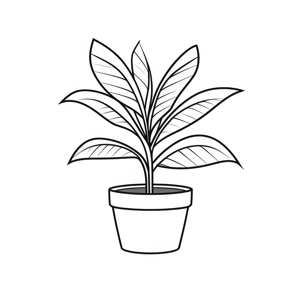 Indoor plant drawing sketch line. AI generated Image by rawpixel.