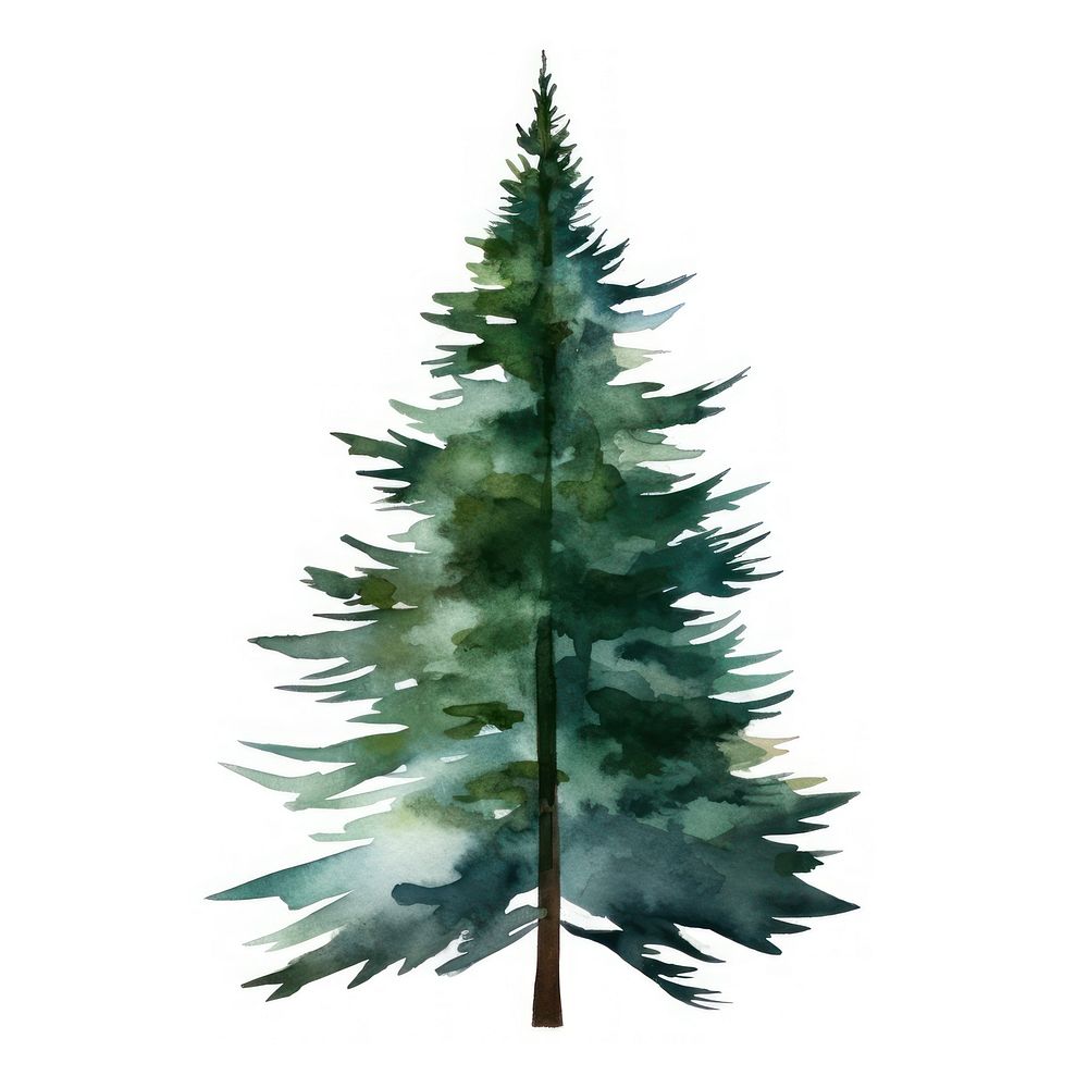 Tree christmas plant shape. AI generated Image by rawpixel.