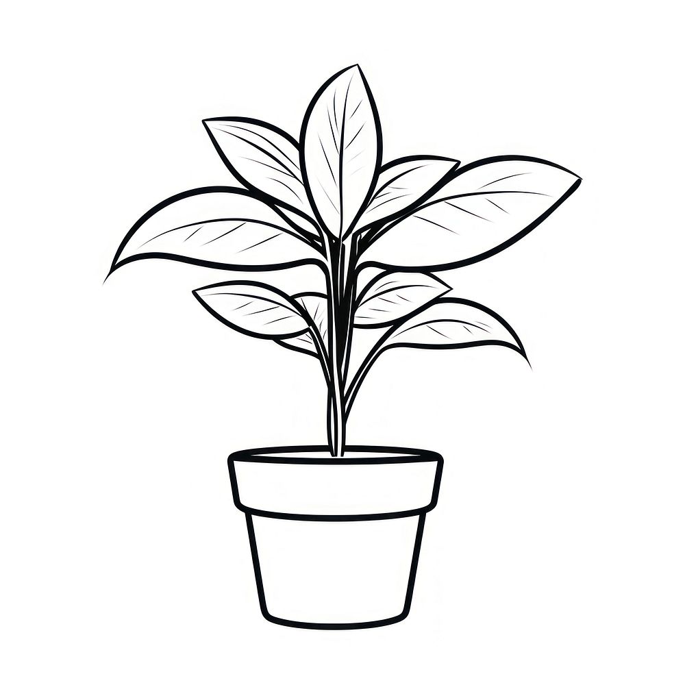 Plant drawing sketch line. AI generated Image by rawpixel.