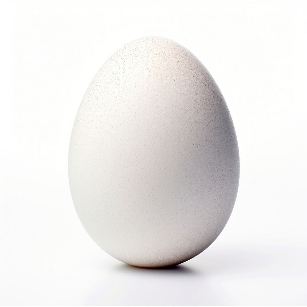 One egg white background simplicity fragility. AI generated Image by rawpixel.