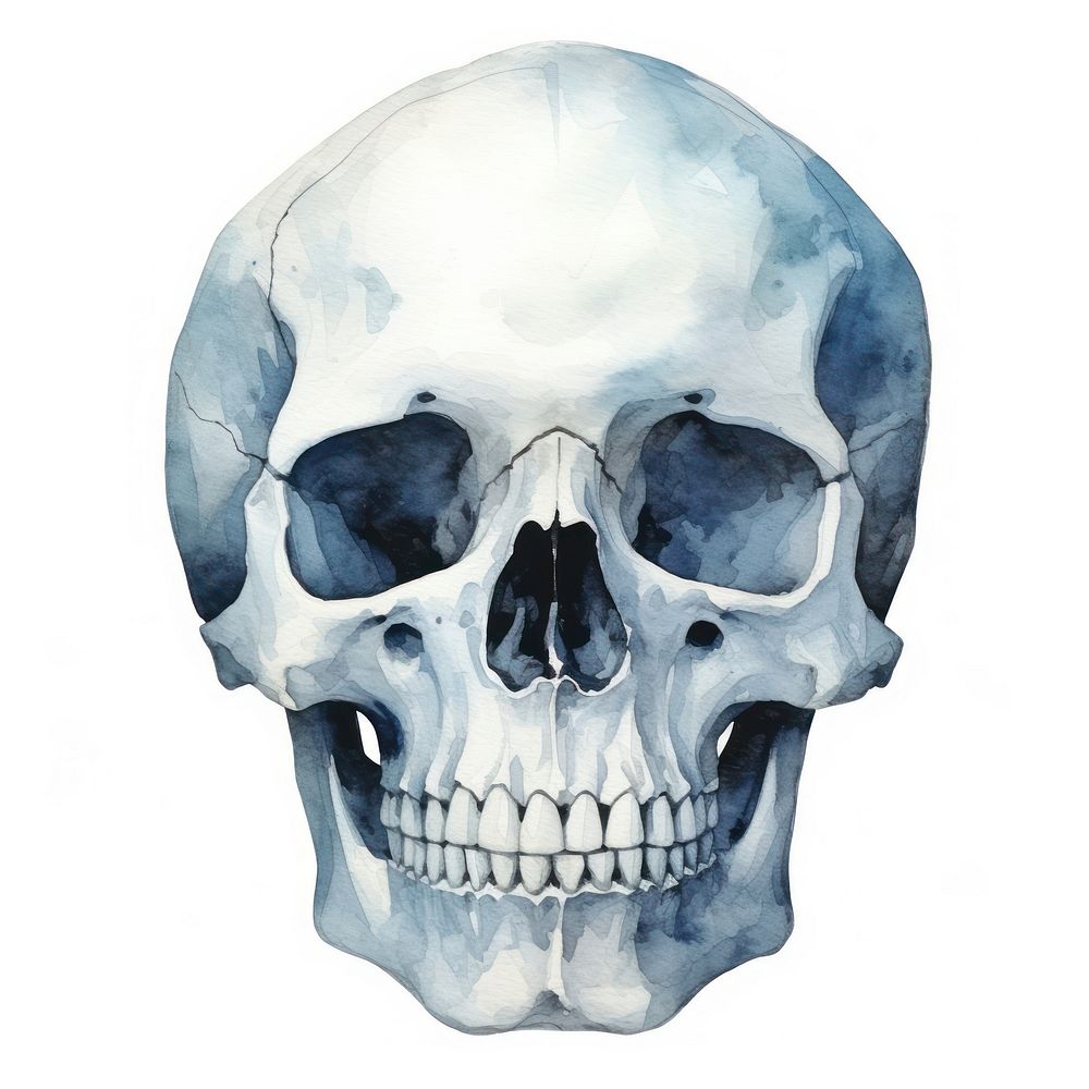 Skull white background anthropology anatomy. AI generated Image by rawpixel.