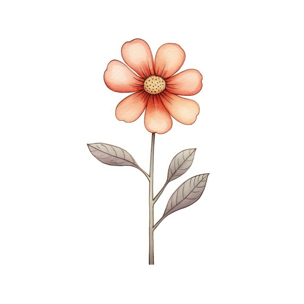Flower drawing pattern sketch. AI generated Image by rawpixel.