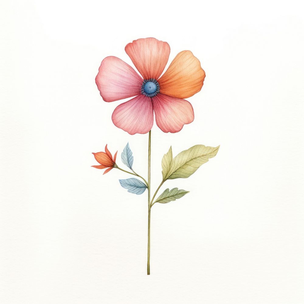 Flower drawing petal plant. AI generated Image by rawpixel.