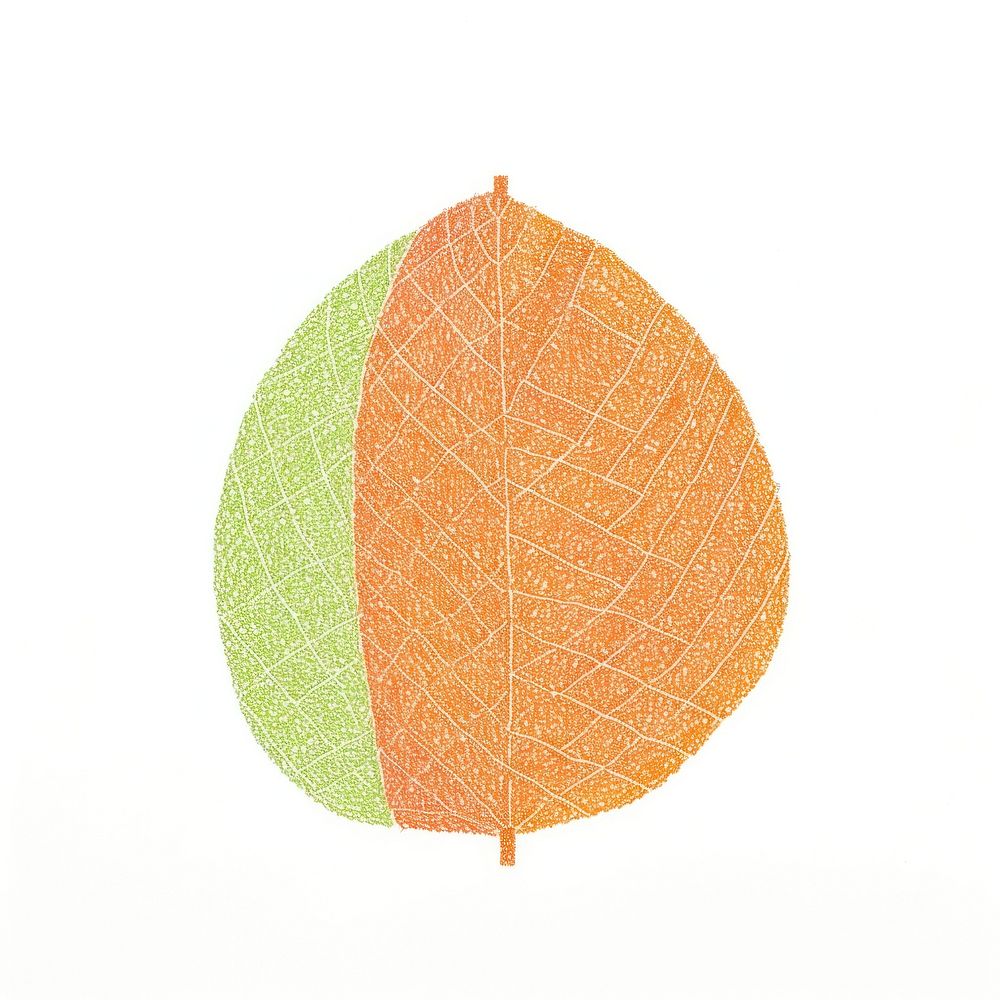 Leaf plant white background creativity. AI generated Image by rawpixel.