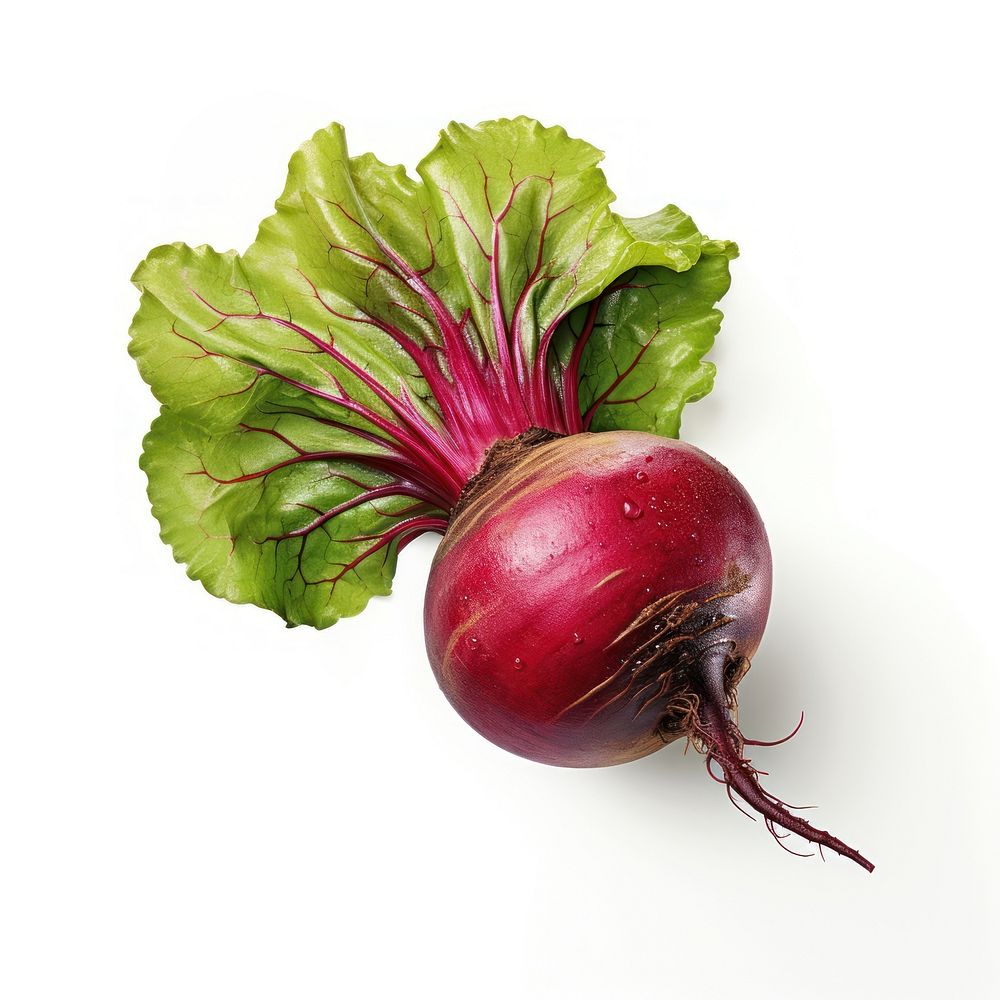 Beetroot vegetable plant food. AI generated Image by rawpixel.