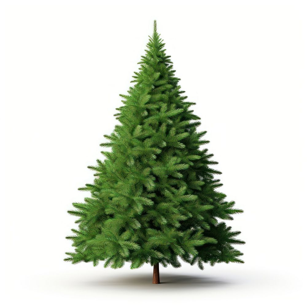 Green christmas tree plant pine fir. AI generated Image by rawpixel.