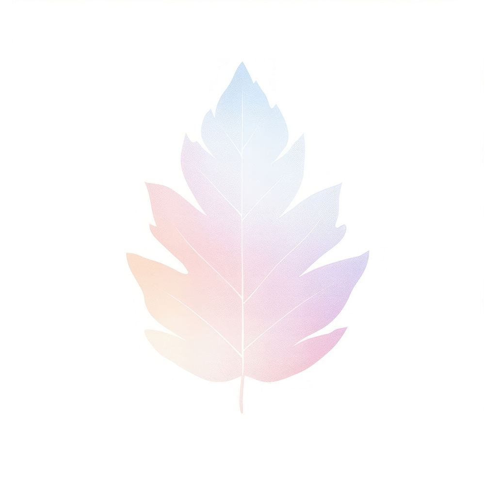 Leaf icon plant white background fragility. AI generated Image by rawpixel.