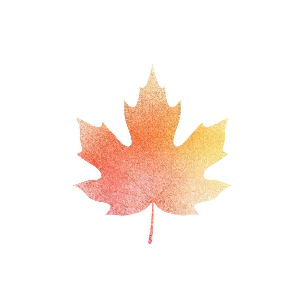 Orange maple leaf icon plant tree white background. AI generated Image by rawpixel.