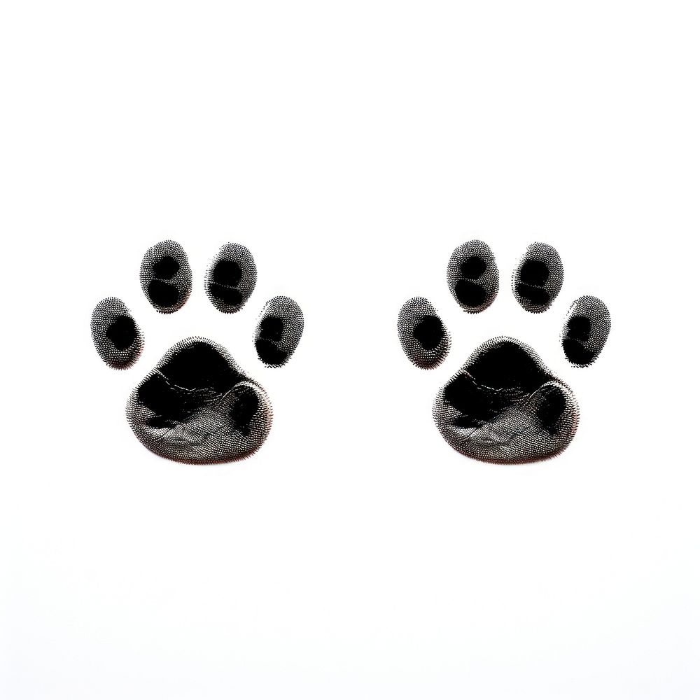 Paw icon 2 pieces animal mammal white background. AI generated Image by rawpixel.