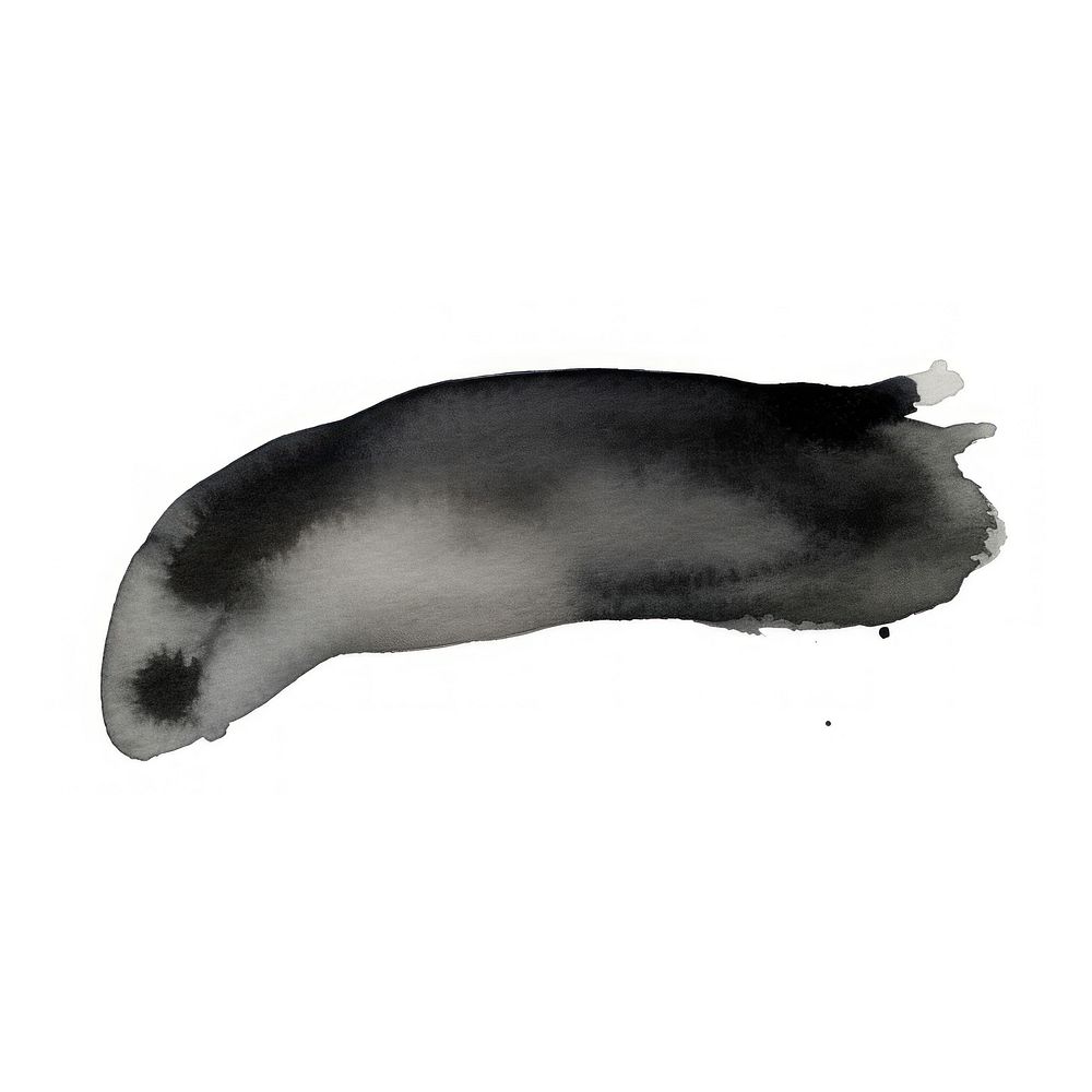 Black white background invertebrate drawing. AI generated Image by rawpixel.
