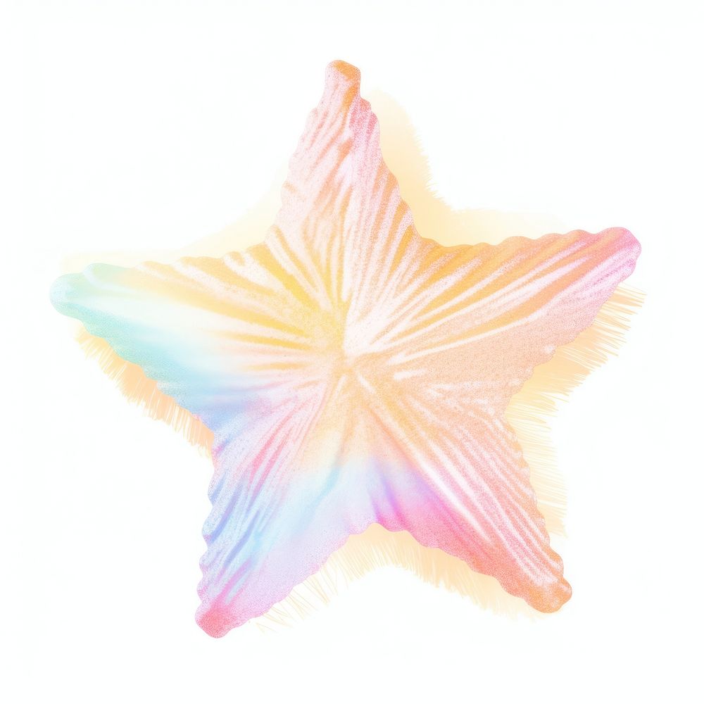 Star petal white background creativity. AI generated Image by rawpixel.
