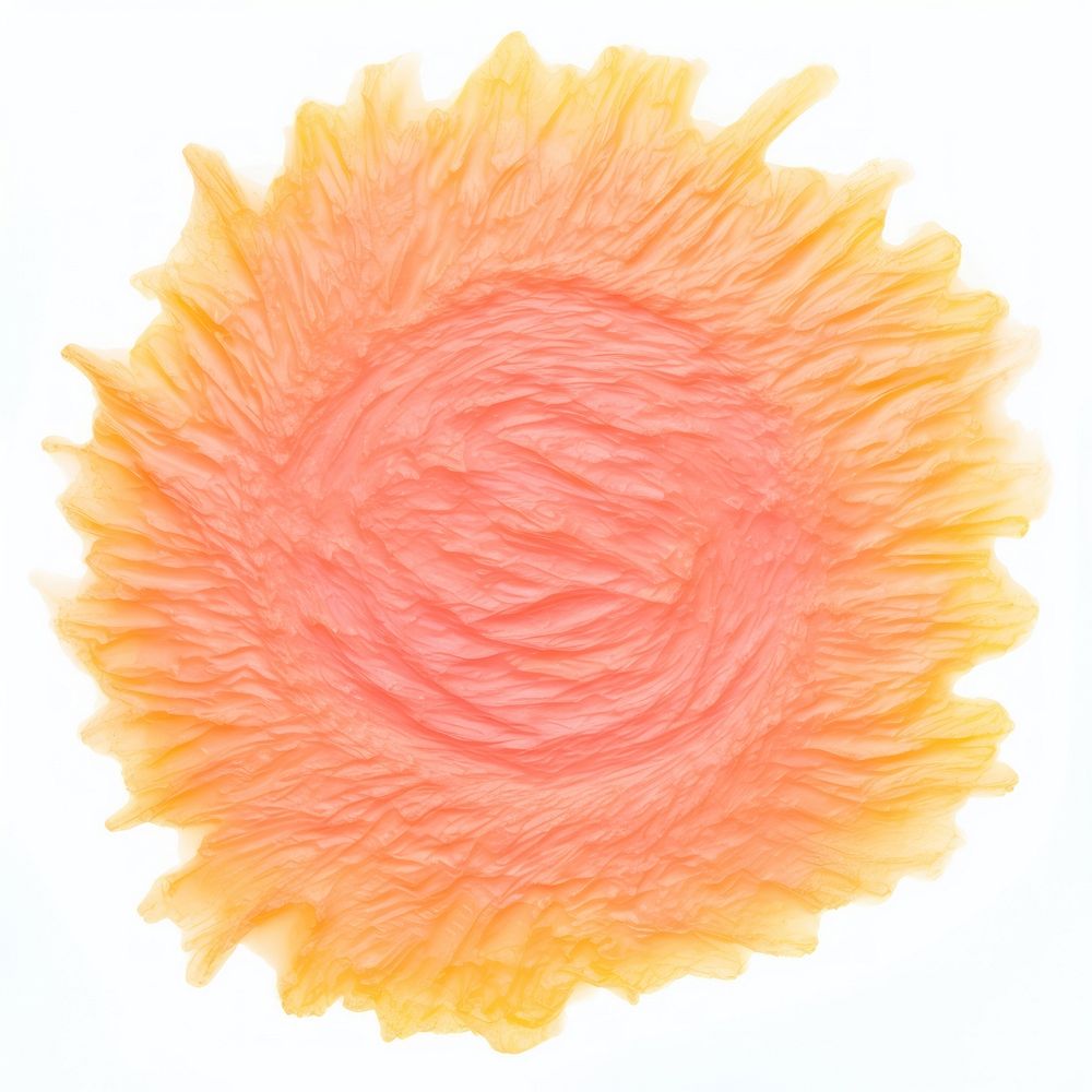 Sun petal white background freshness. AI generated Image by rawpixel.