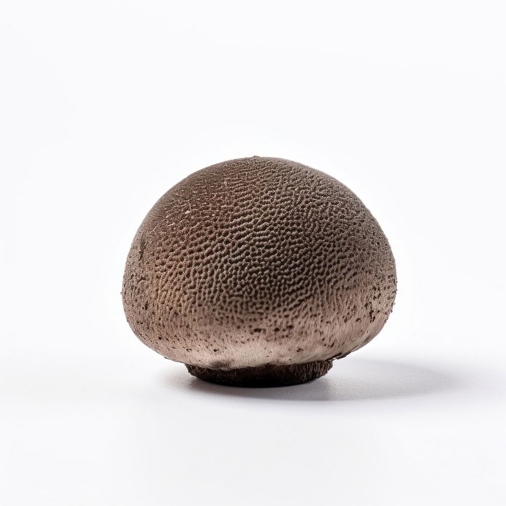 Truffle mushroom sphere white background simplicity. AI generated Image by rawpixel.