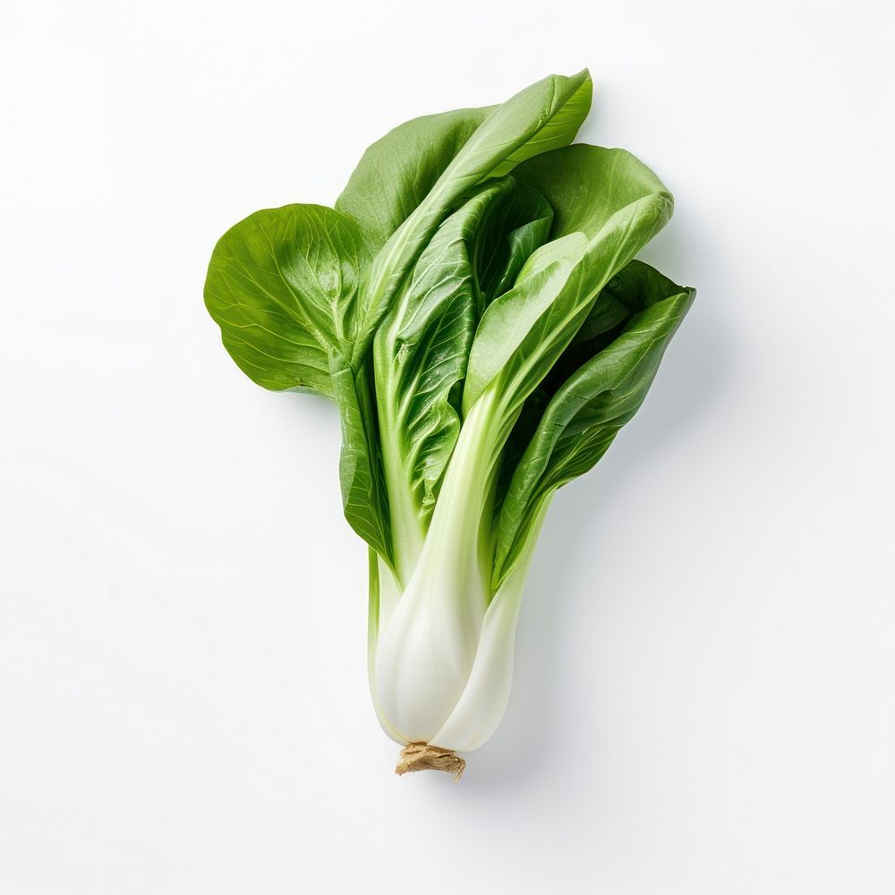 Bok choy vegetable plant food. AI generated Image by rawpixel.