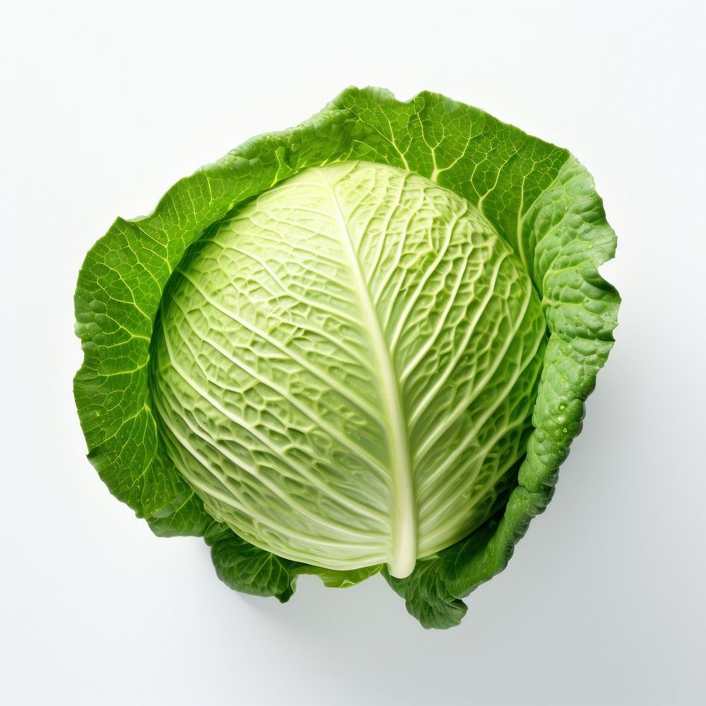 Cabbage vegetable plant food. AI generated Image by rawpixel.