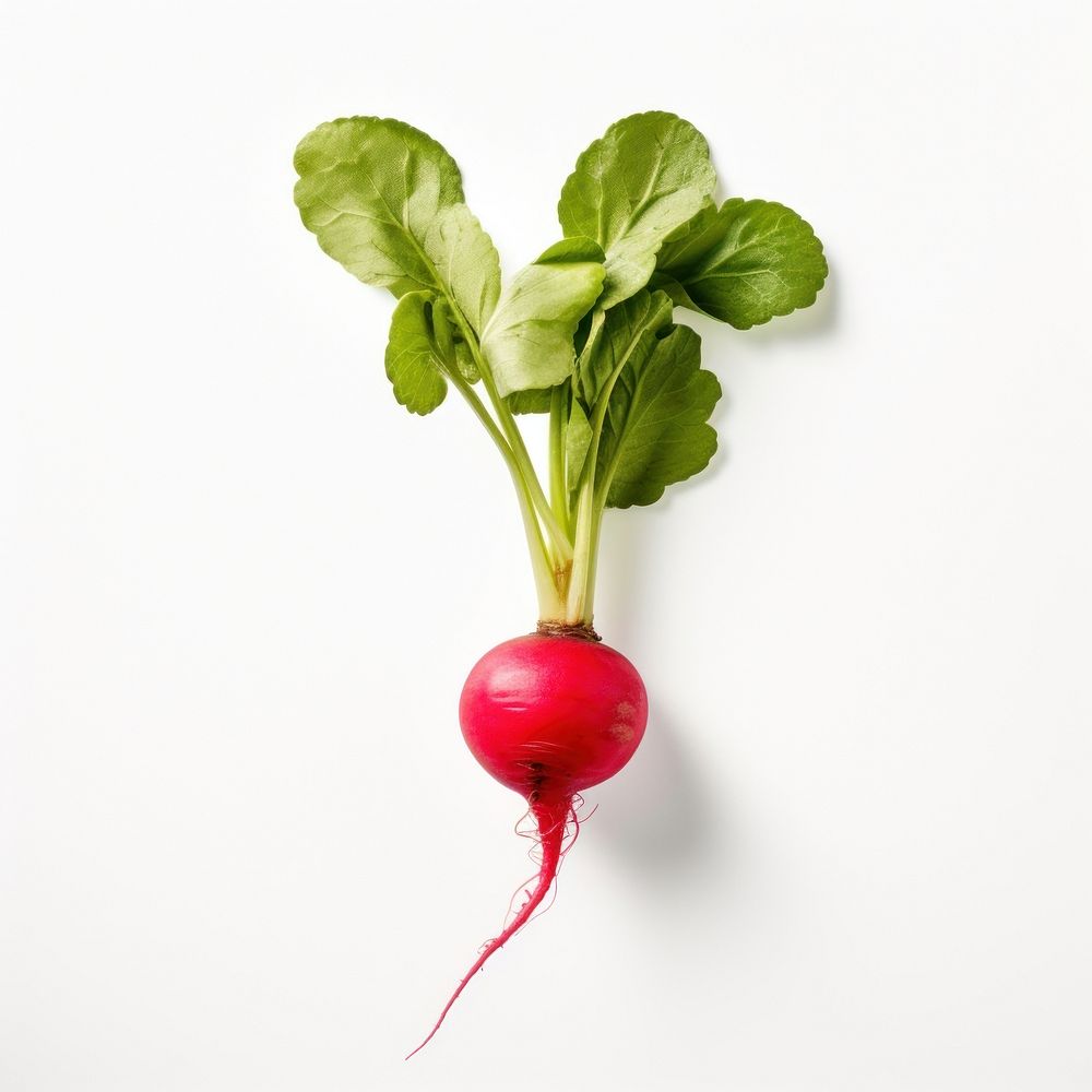 Radish vegetable plant food. AI generated Image by rawpixel.