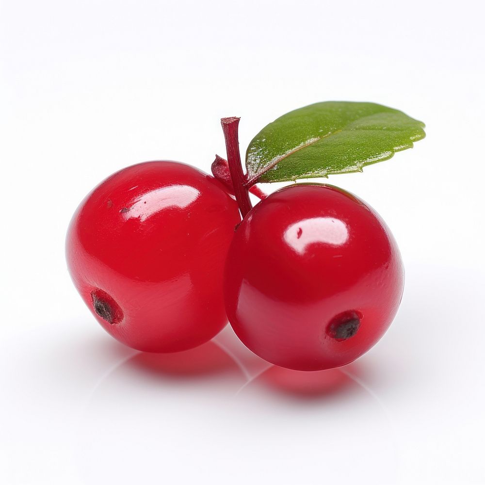 Cranberry leaf fruit plant. AI generated Image by rawpixel.