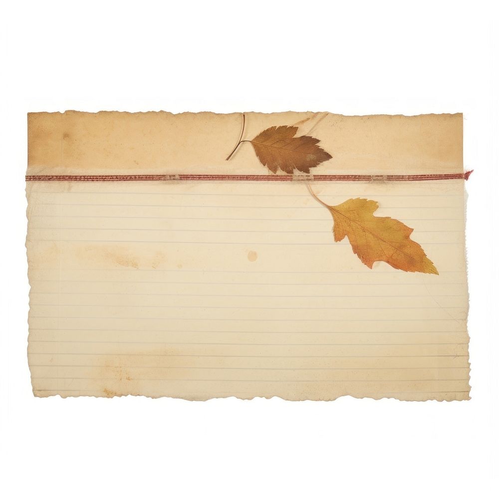 Autumn plant paper leaf. AI generated Image by rawpixel.
