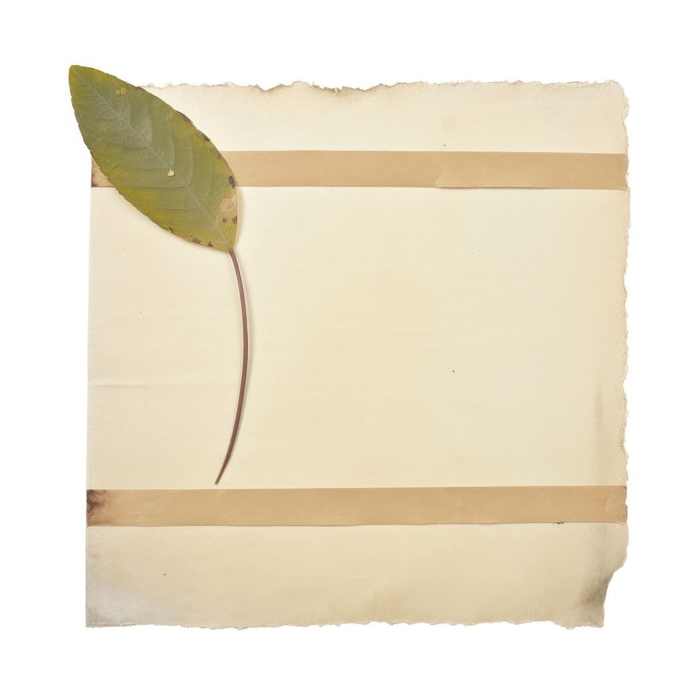 Leaf plant paper old. AI generated Image by rawpixel.