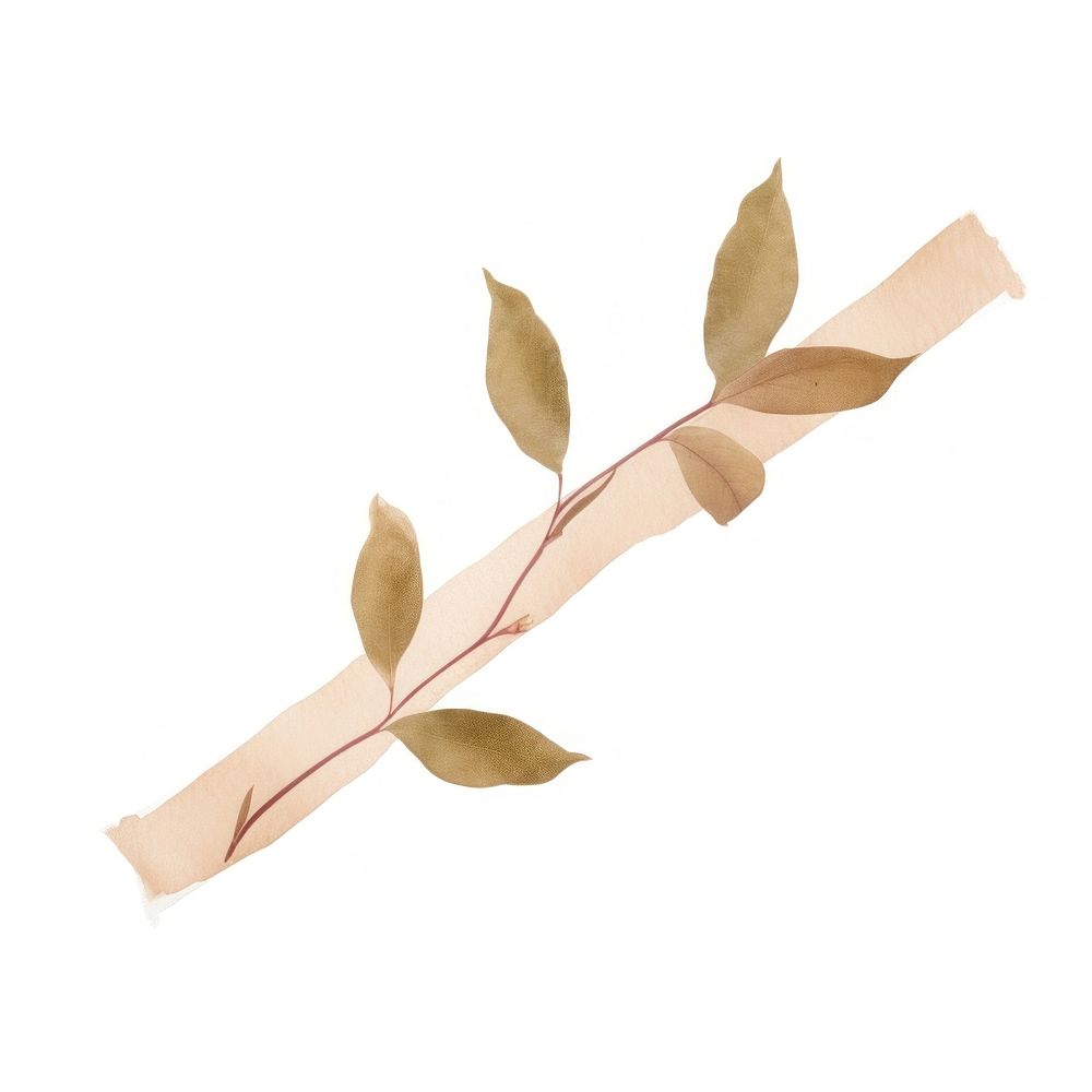 Leaf bougainvillea plant paper white background branch. AI generated Image by rawpixel.