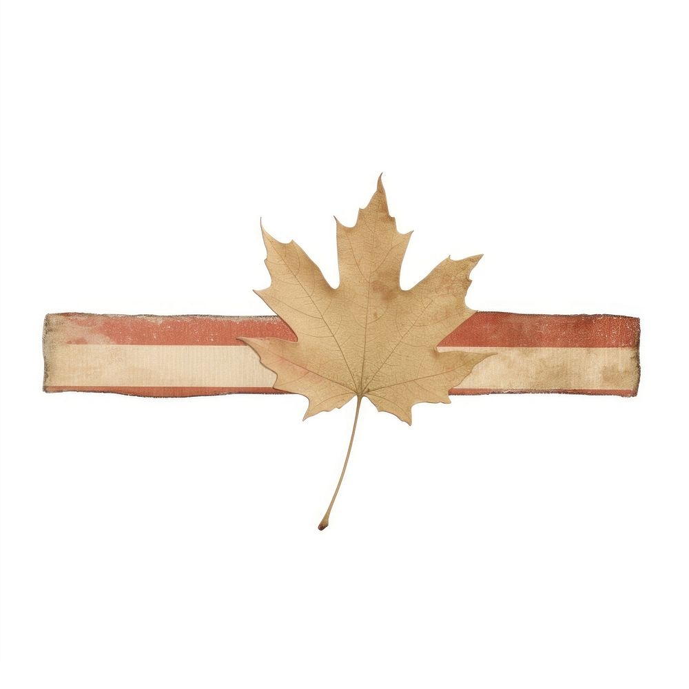 Maple leaf with tape symbol plant tree. AI generated Image by rawpixel.