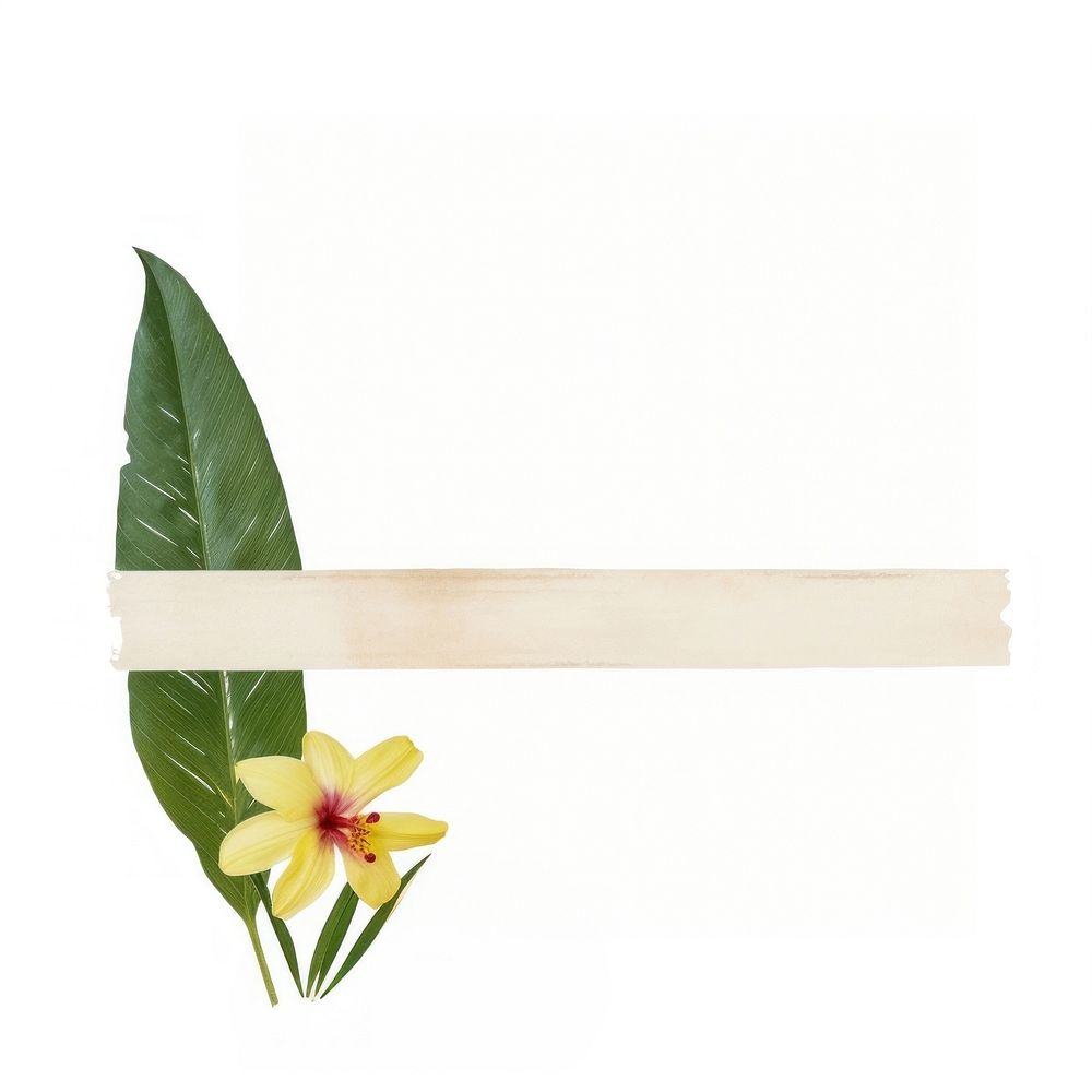 Minimal adhesive tape is stuck on the tropical flowers plant petal leaf. AI generated Image by rawpixel.