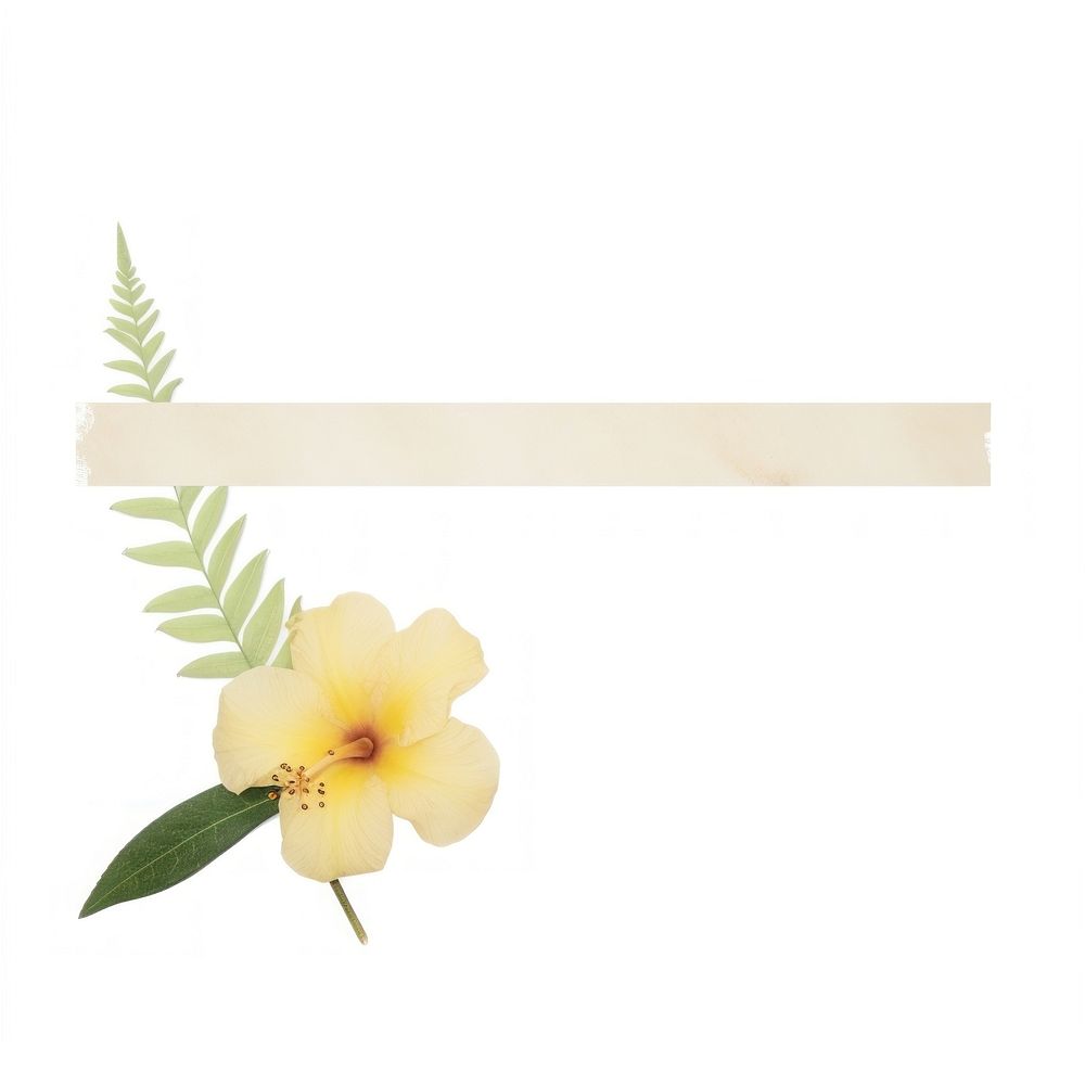 Minimal adhesive tape is stuck on the tropical flowers plant petal white background. AI generated Image by rawpixel.