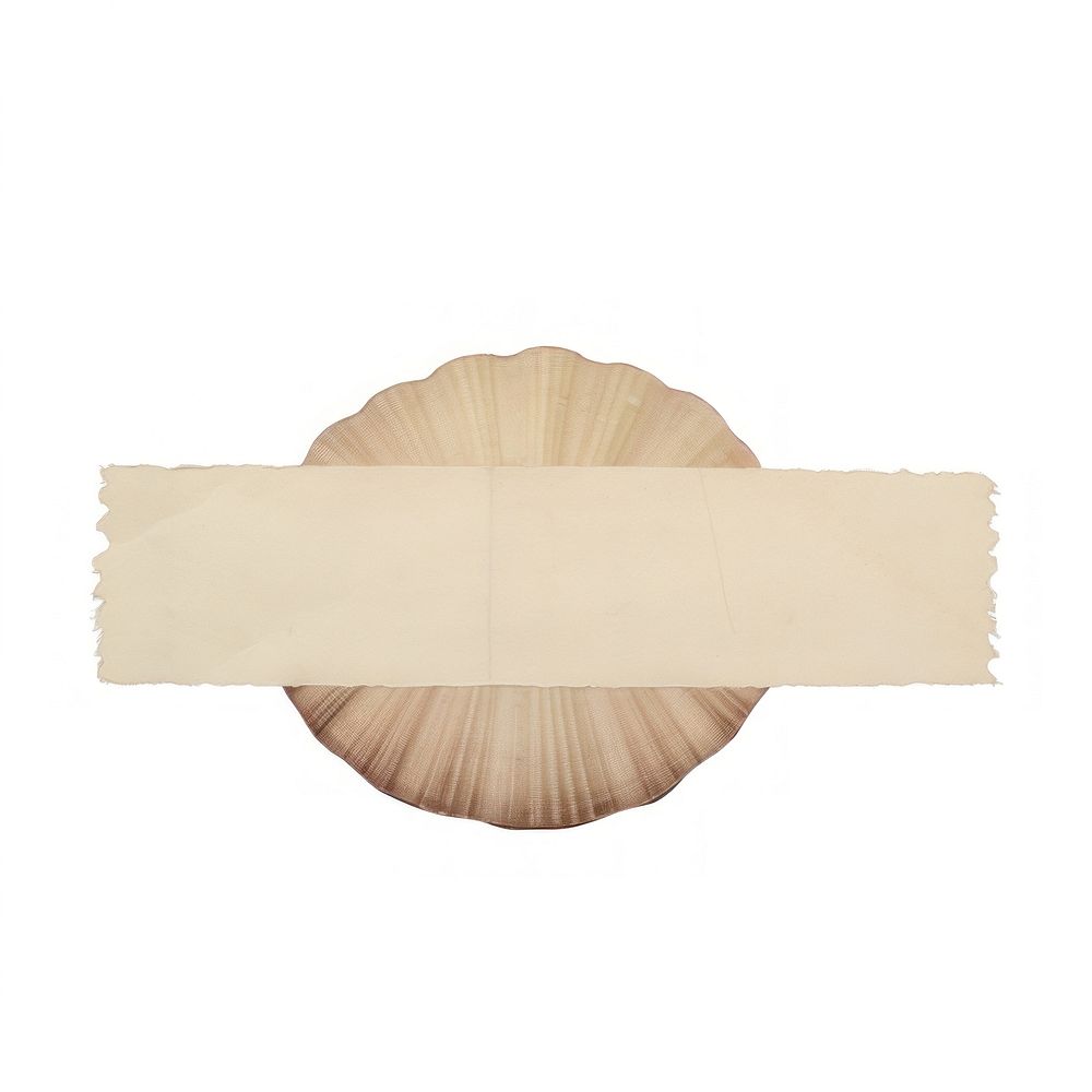Shell with tape paper white background invertebrate. AI generated Image by rawpixel.
