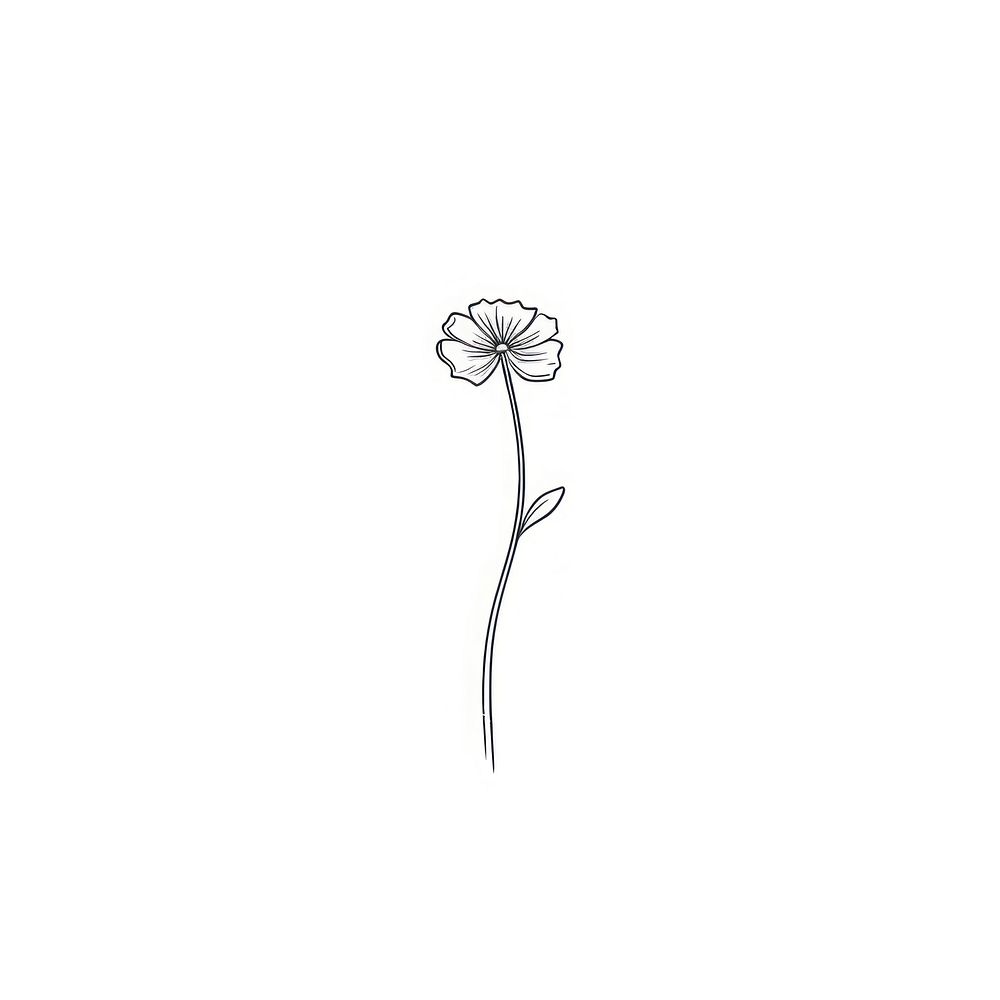 Flower drawing sketch plant. AI generated Image by rawpixel.