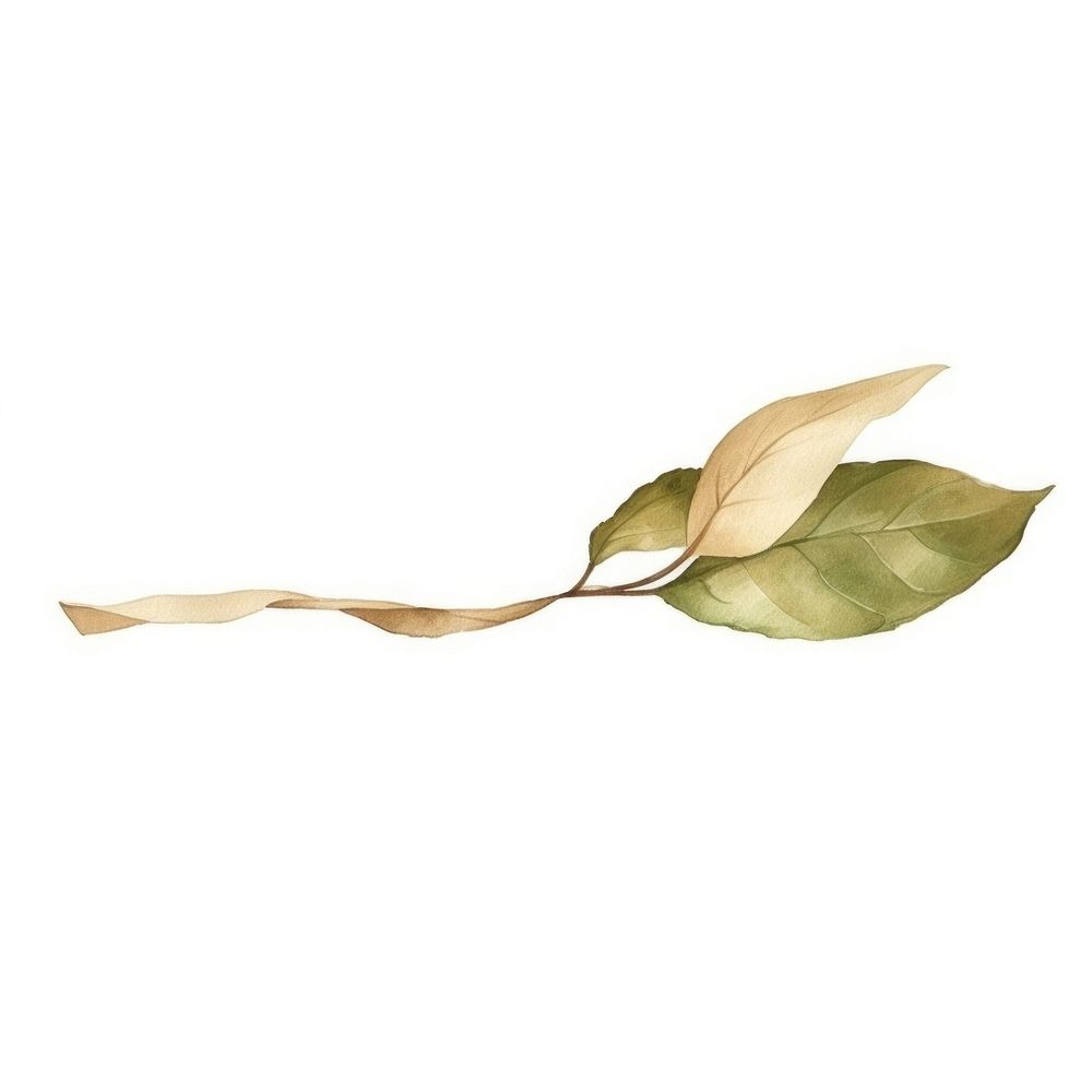 Leaf with tape plant art white background. AI generated Image by rawpixel.